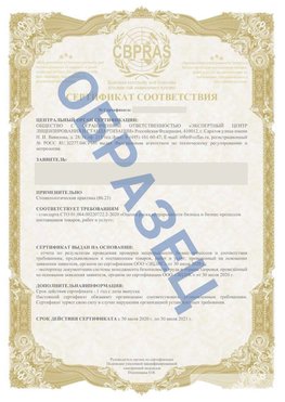 Образец Сертификат СТО 01.064.00220722.2-2020 Новокузнецк Сертификат СТО 01.064.00220722.2-2020 
